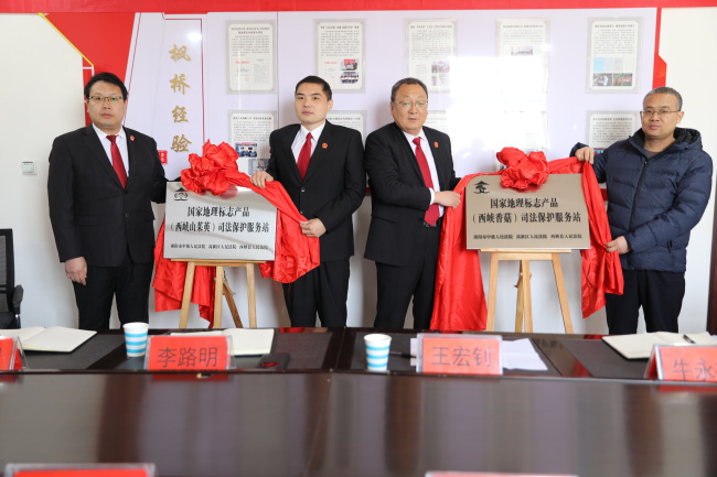 司法护航“双地标” 两级法院为特色产业注入法治动能