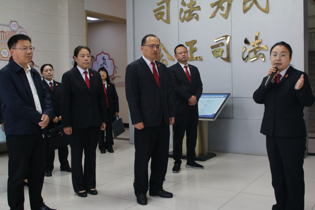 全市人民法庭建设观摩推进会（适老诉讼服务专题）在西峡召开